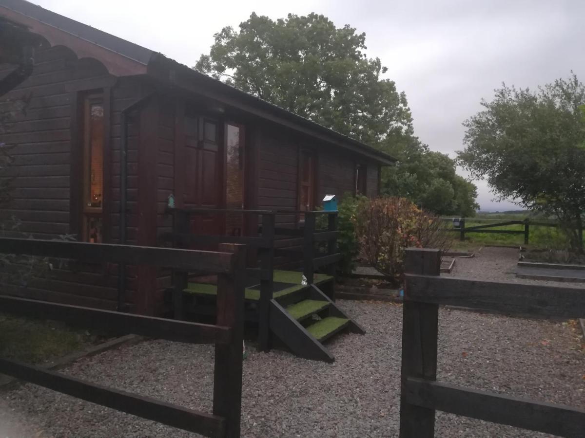 Stay With Your Pet Killarney Exterior photo