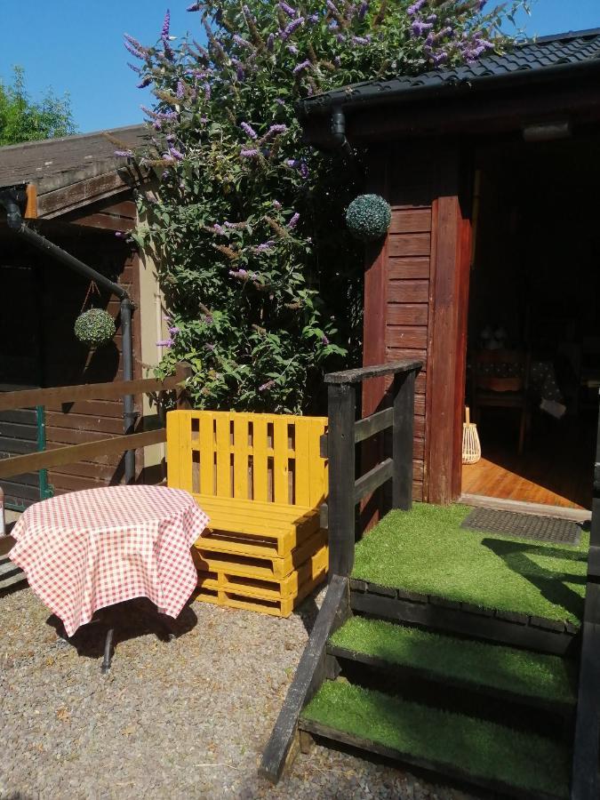 Stay With Your Pet Killarney Exterior photo